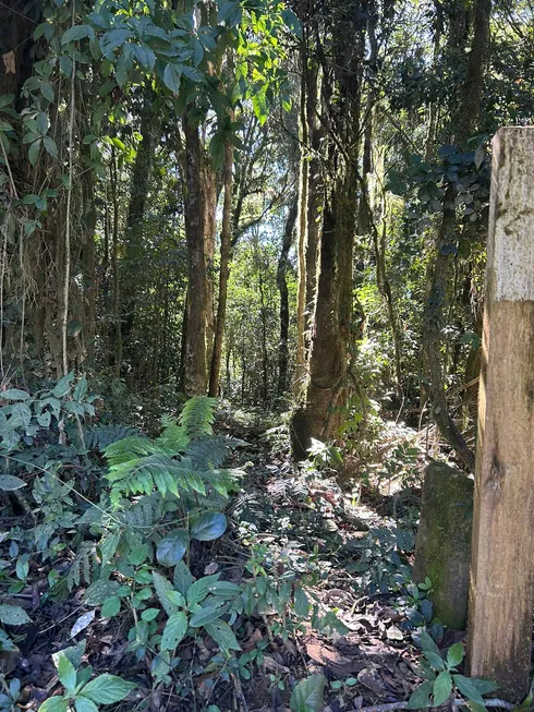 Foto 1 de Fazenda/Sítio com 1 Quarto à venda, 20000m² em Zona Rural, Tijucas do Sul