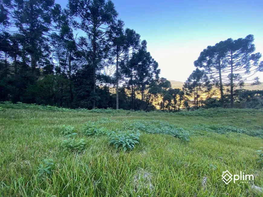 Foto 1 de Fazenda/Sítio com 1 Quarto à venda, 25000m² em Zona Rural, Bom Retiro