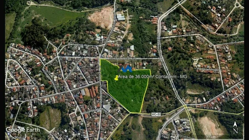 Foto 1 de Lote/Terreno à venda, 36543m² em Praia, Contagem