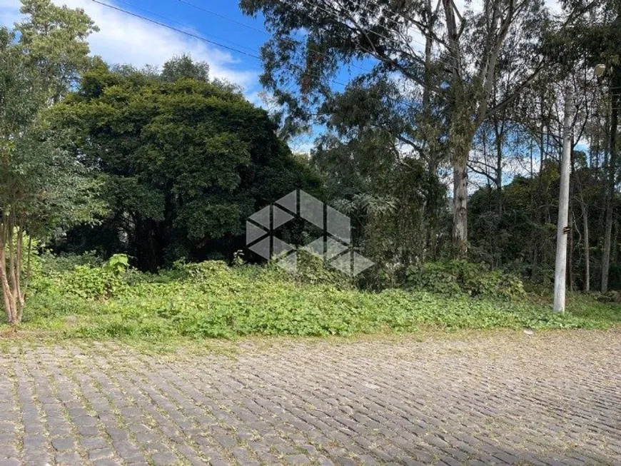 Foto 1 de Lote/Terreno à venda, 498m² em Santa Lúcia, Caxias do Sul