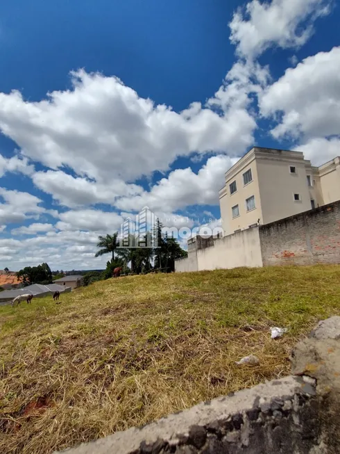 Foto 1 de Lote/Terreno à venda, 462m² em Jardim Carvalho, Ponta Grossa