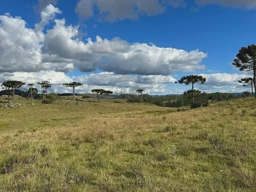 Foto 1 de Fazenda/Sítio à venda em Zona Rural, Urubici