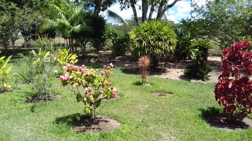 Foto 1 de Fazenda/Sítio com 4 Quartos à venda, 160m² em Centro, Cachoeira