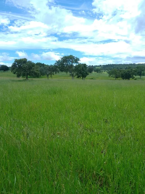 Foto 1 de Fazenda/Sítio à venda, 10000000m² em Setor Central, Amorinópolis