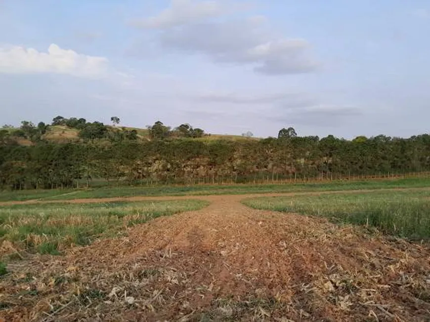 Foto 1 de Lote/Terreno à venda em Centro, Atibaia