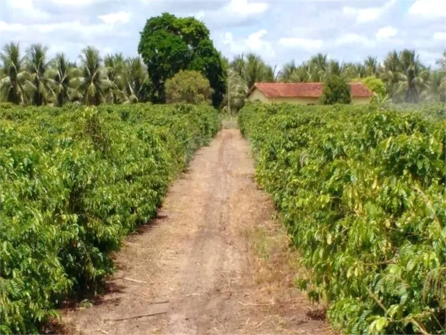 Foto 1 de Fazenda/Sítio com 30 Quartos à venda, 1000m² em Caraíva, Porto Seguro