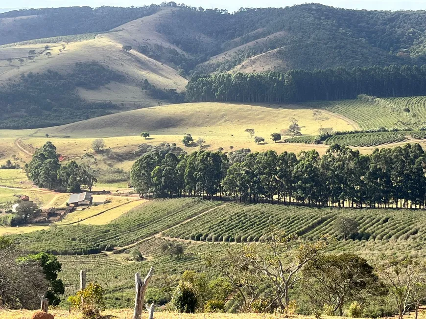 Foto 1 de Fazenda/Sítio com 16 Quartos à venda, 8000000m² em Zona Rural, São Lourenço