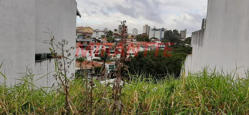 Foto 1 de Lote/Terreno à venda, 350m² em Jardim França, São Paulo