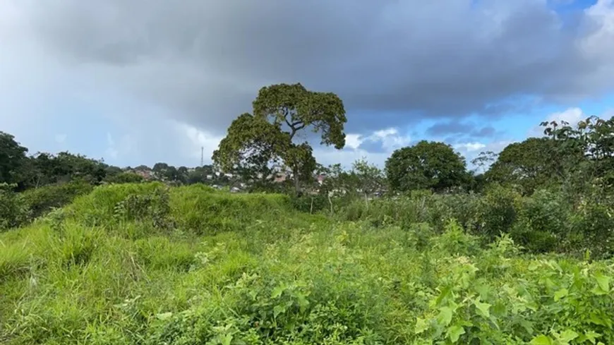 Foto 1 de Lote/Terreno à venda, 1050m² em Aldeia dos Camarás, Camaragibe