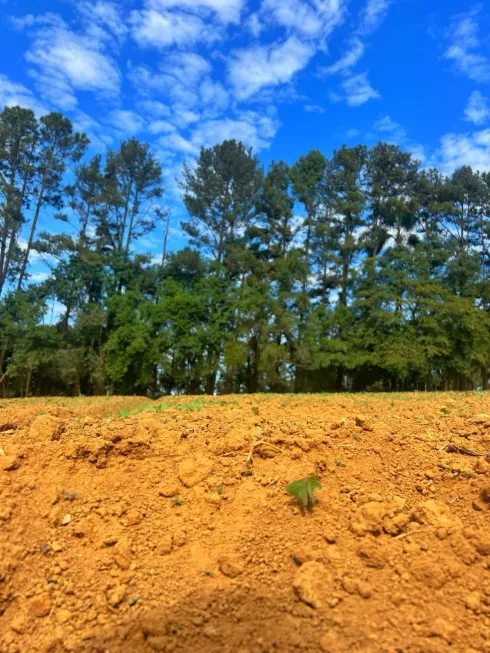 Foto 1 de Lote/Terreno à venda, 500m² em Água Branca, São Paulo