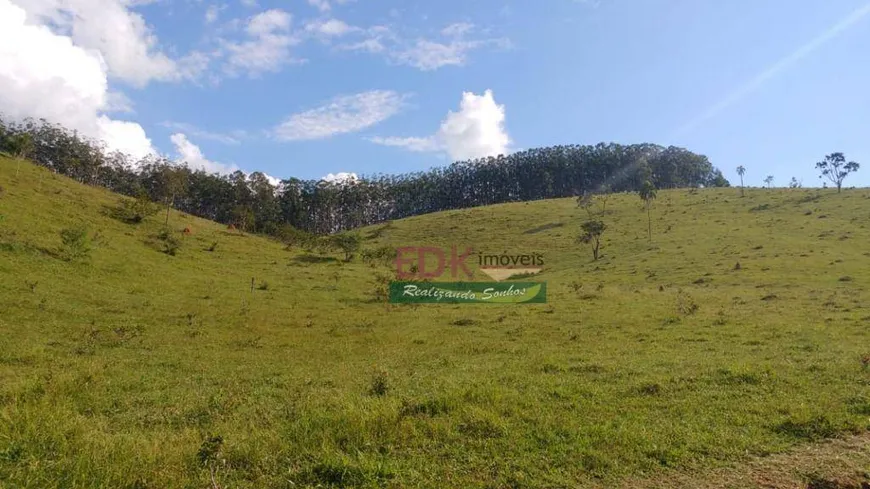 Foto 1 de Lote/Terreno à venda, 49000m² em Registro, Taubaté