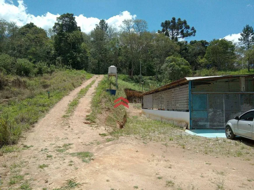 Foto 1 de Fazenda/Sítio com 3 Quartos à venda, 150m² em Capela de São Pedro, Vargem Grande Paulista