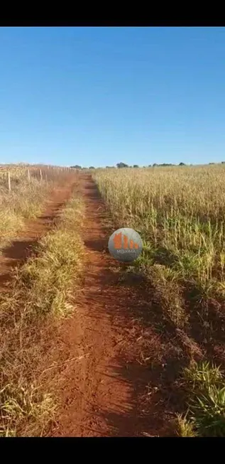 Foto 1 de Fazenda/Sítio à venda, 222640m² em , Goiatuba