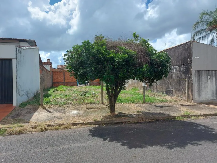 Foto 1 de Lote/Terreno com 1 Quarto à venda, 250m² em Cidade Jardim, Uberlândia