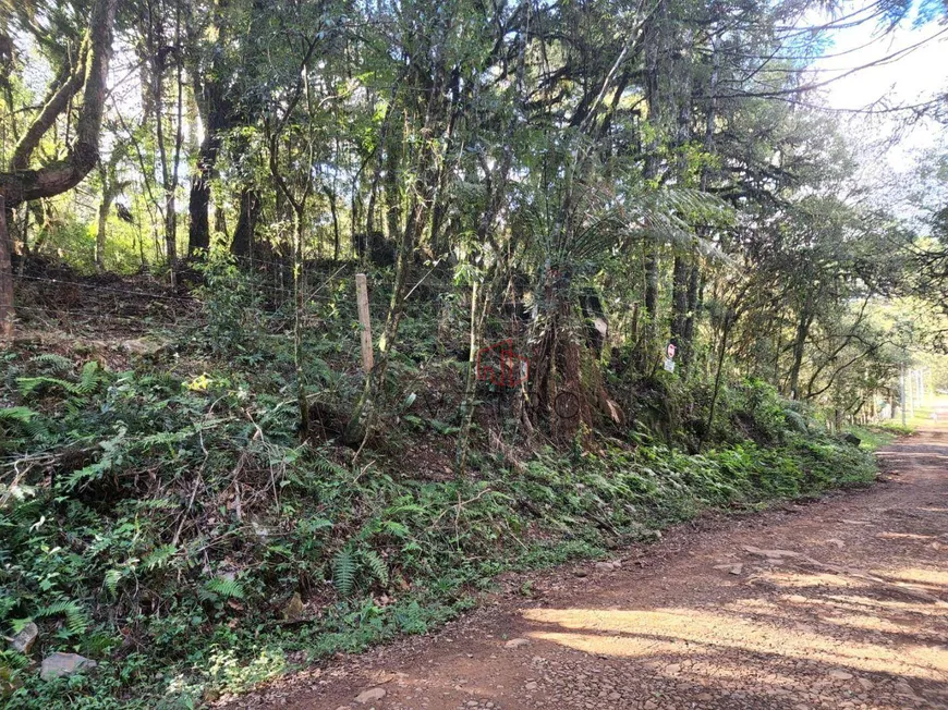 Foto 1 de Lote/Terreno à venda, 981m² em Barragem Do Salto, São Francisco de Paula