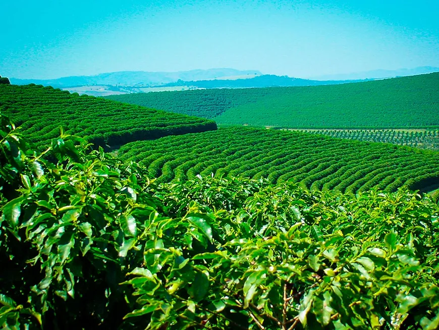 Foto 1 de Fazenda/Sítio à venda, 500m² em Nossa Senhora das Graças, Governador Valadares