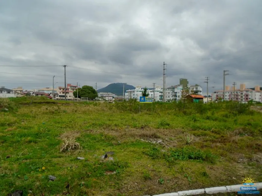 Foto 1 de Lote/Terreno à venda em Ingleses do Rio Vermelho, Florianópolis