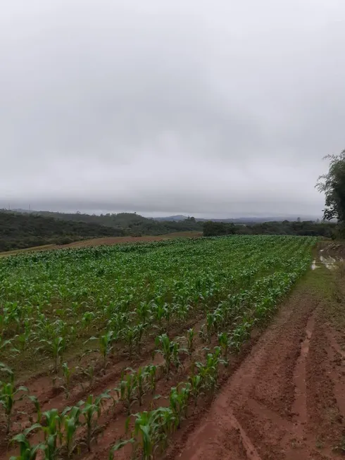 Foto 1 de Fazenda/Sítio à venda, 640000m² em Biritiba Ussu, Mogi das Cruzes