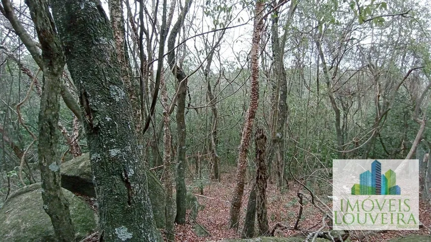 Foto 1 de Fazenda/Sítio à venda, 10408m² em Chácara Alpinas, Valinhos