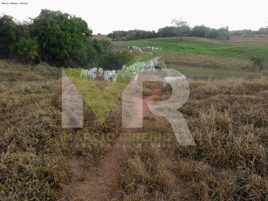 Foto 1 de Fazenda/Sítio com 2 Quartos à venda em Zona Rural, Caldas Novas