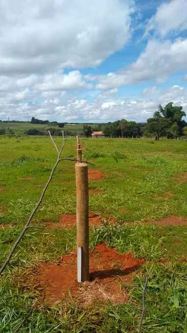 Foto 1 de Fazenda/Sítio à venda, 2234m² em Zona Rural, Aragoiânia