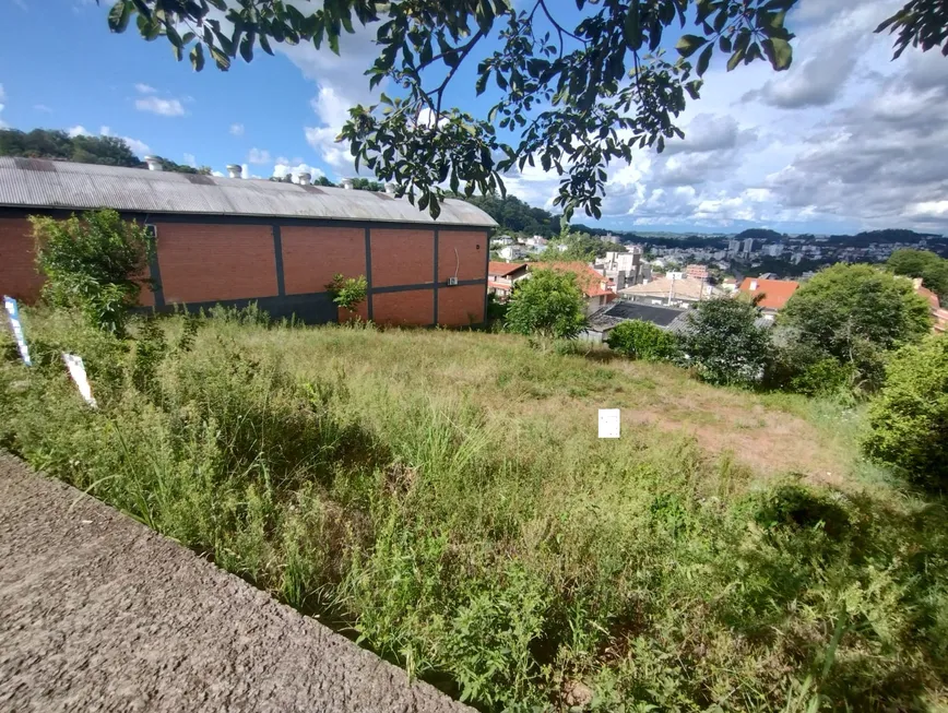 Foto 1 de Lote/Terreno à venda, 360m² em Universitario, Bento Gonçalves