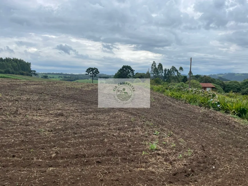 Foto 1 de Fazenda/Sítio com 1 Quarto à venda, 48000m² em Bateias de Baixo, Campo Alegre