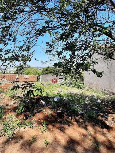 Foto 1 de Lote/Terreno à venda, 200m² em Jardim Colúmbia D, Londrina