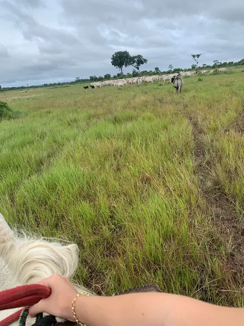 Foto 1 de Fazenda/Sítio à venda em Carumbé, Cuiabá