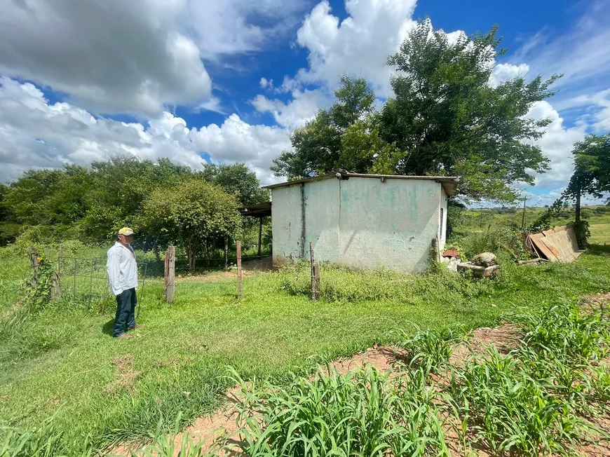 Foto 1 de Fazenda/Sítio com 1 Quarto à venda, 1000m² em , Martinópolis