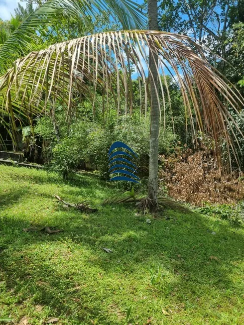 Foto 1 de Lote/Terreno à venda, 35000m² em Cassange, Salvador