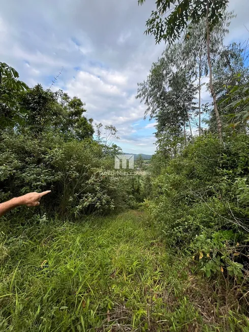 Foto 1 de Lote/Terreno à venda, 220000m² em Moura, Canelinha