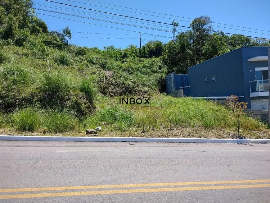 Foto 1 de Lote/Terreno à venda, 253m² em Ouro Verde, Bento Gonçalves