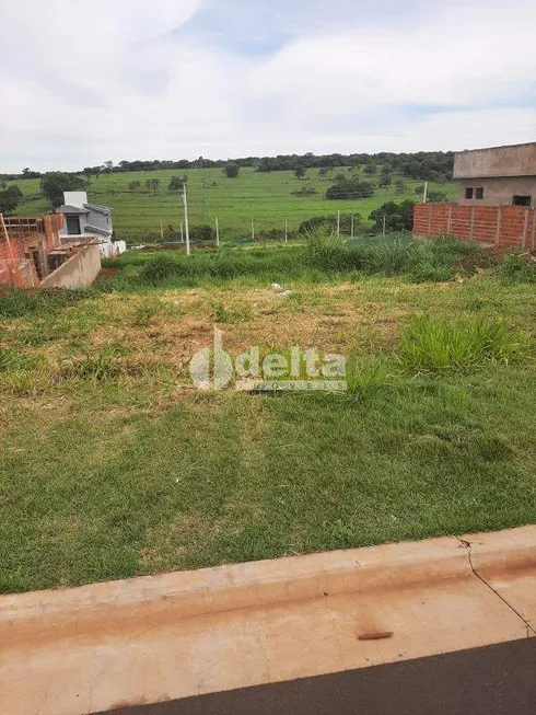 Foto 1 de Lote/Terreno à venda, 307m² em Granja Marileusa , Uberlândia