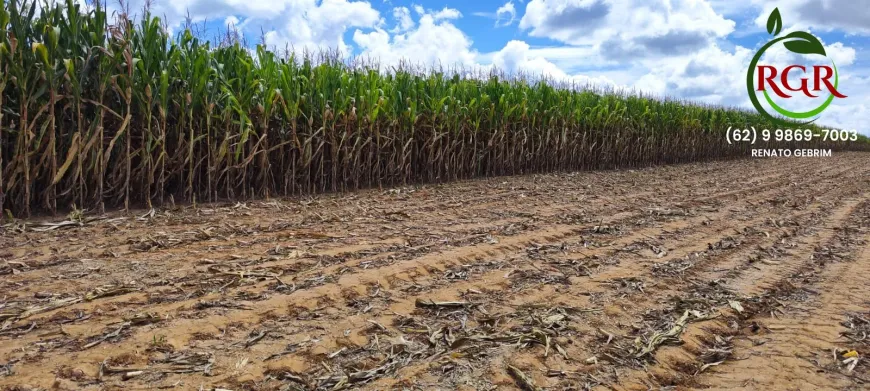 Foto 1 de Fazenda/Sítio à venda, 650000m² em Zona Rural, Campo Alegre de Goiás