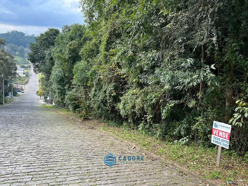 Foto 1 de Lote/Terreno à venda, 360m² em Colina Sorriso, Caxias do Sul