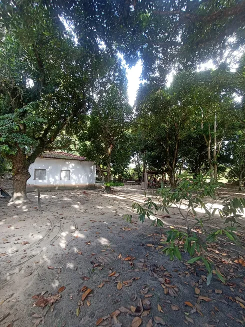 Foto 1 de Fazenda/Sítio com 3 Quartos à venda, 14000m² em Juca Rosa, Eunápolis