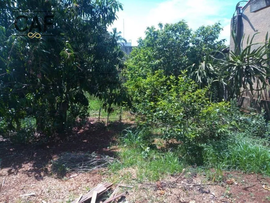 Foto 1 de Lote/Terreno à venda, 541m² em Centro, Santo Antônio de Posse