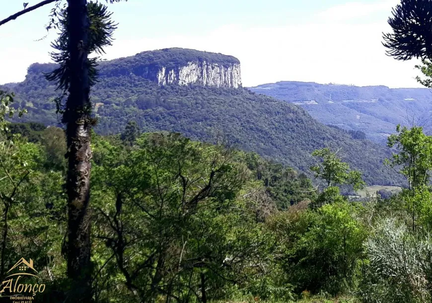 Foto 1 de Lote/Terreno à venda, 15000m² em Nova Petropolis, Nova Petrópolis