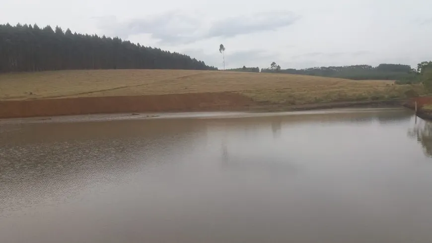 Foto 1 de Fazenda/Sítio com 3 Quartos à venda, 80m² em Zona Rural, São Pedro