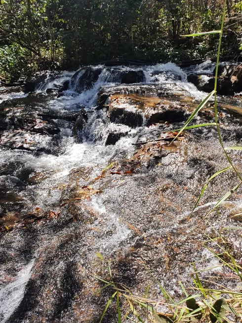 Foto 1 de Fazenda/Sítio à venda em Trevo do Jose Rosario, Leopoldo de Bulhões