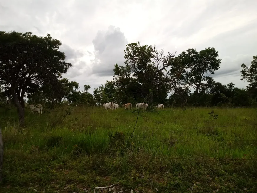 Foto 1 de Fazenda/Sítio com 3 Quartos à venda, 430m² em Centro, Buritizeiro