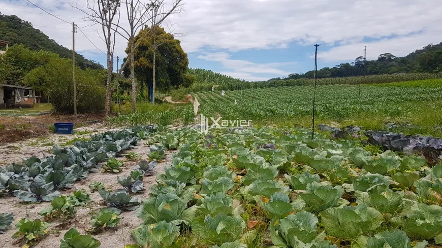 Foto 1 de Fazenda/Sítio com 2 Quartos à venda, 22000m² em , Santa Leopoldina