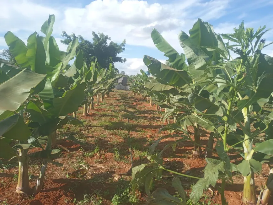 Foto 1 de Fazenda/Sítio à venda, 10000m² em Arapoanga, Brasília