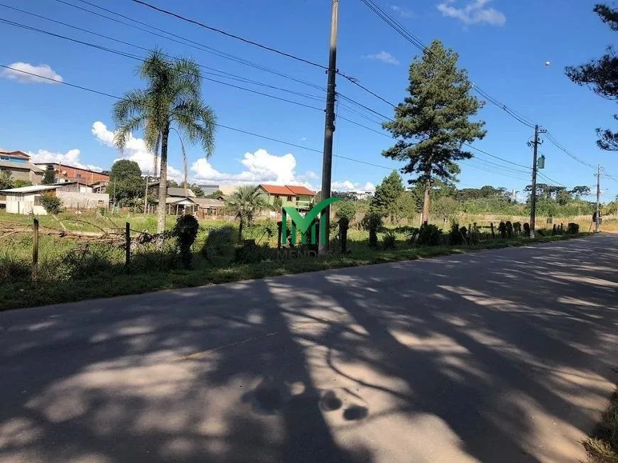 Foto 1 de Lote/Terreno à venda, 17271m² em Linha Palmeiro, Farroupilha