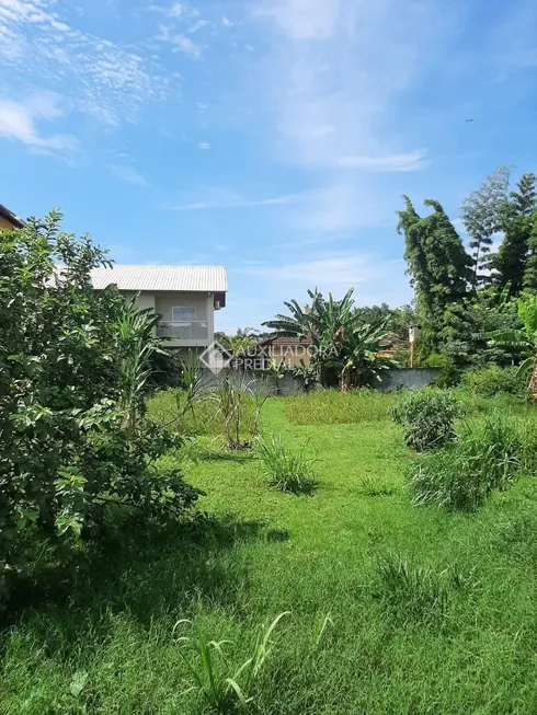 Foto 1 de Lote/Terreno à venda, 402m² em Campeche, Florianópolis