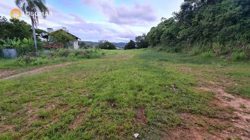 Foto 1 de Lote/Terreno à venda, 2138m² em Centro, Penha