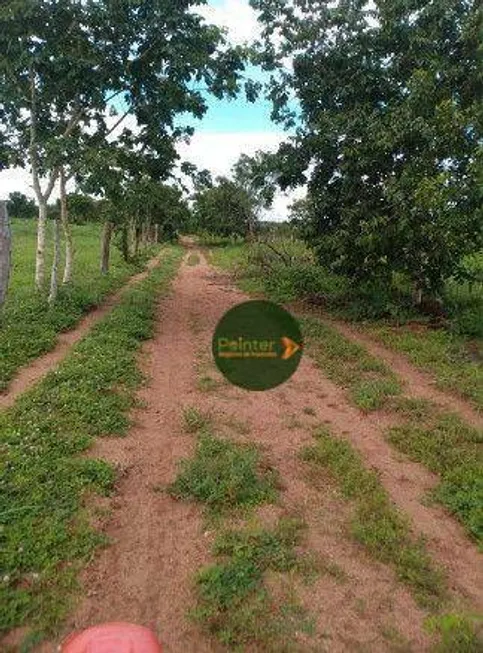 Foto 1 de Fazenda/Sítio à venda, 1936000m² em Zona Rural, Jussara