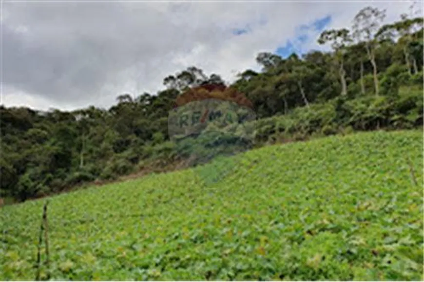 Foto 1 de Lote/Terreno à venda, 90000m² em Dona Mariana, Sumidouro