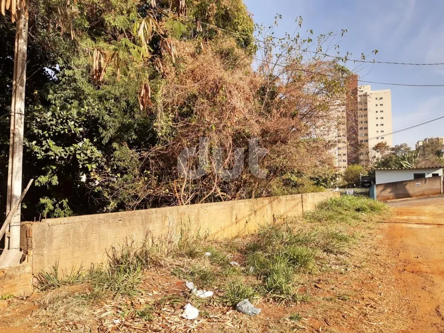 Foto 1 de Lote/Terreno à venda, 2000m² em Mansões Santo Antônio, Campinas